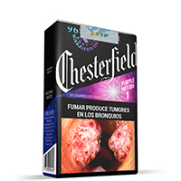 CHESTERFIELD PURPLE MOTION 1 KS SOF 20